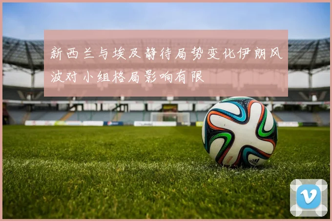新西兰与埃及静待局势变化伊朗风波对小组格局影响有限