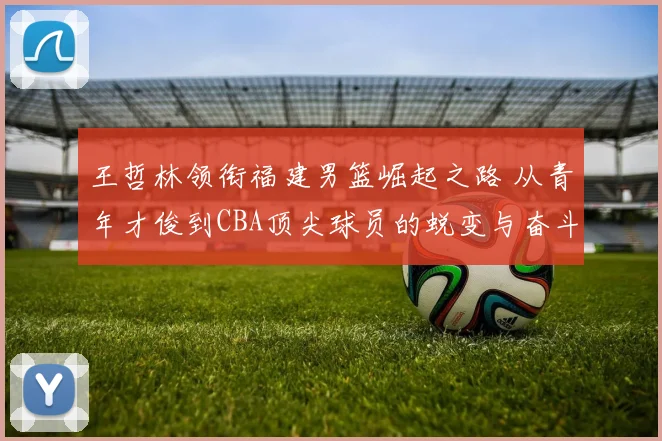 王哲林领衔福建男篮崛起之路 从青年才俊到CBA顶尖球员的蜕变与奋斗