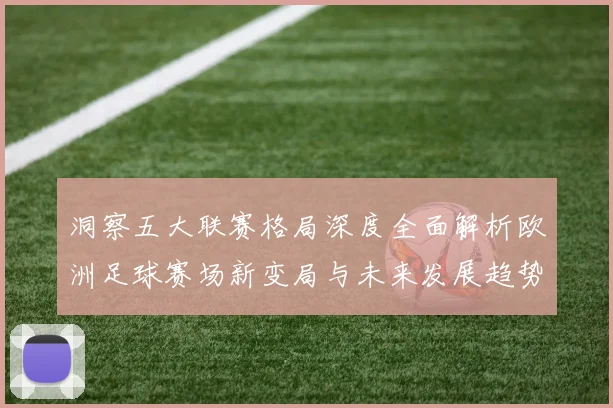 洞察五大联赛格局深度全面解析欧洲足球赛场新变局与未来发展趋势