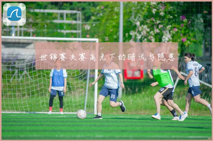 世锦赛决赛高光下的暗流与隐患