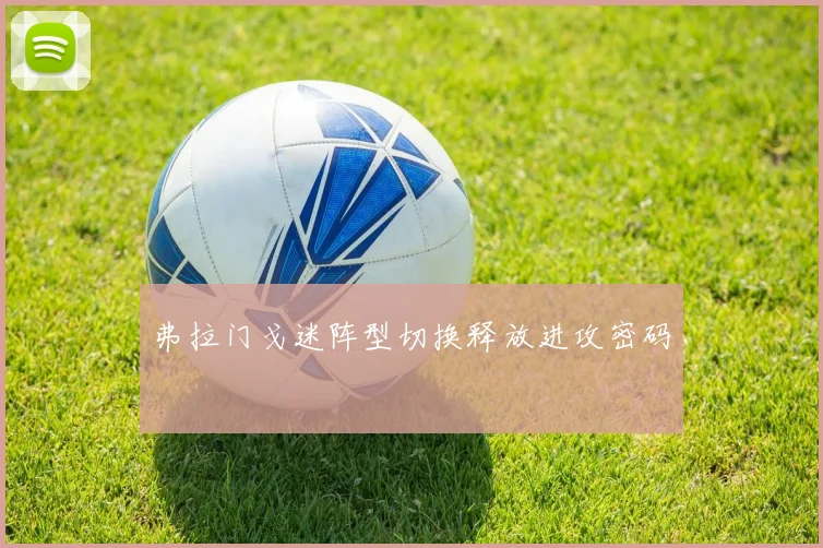 弗拉门戈迷阵型切换释放进攻密码