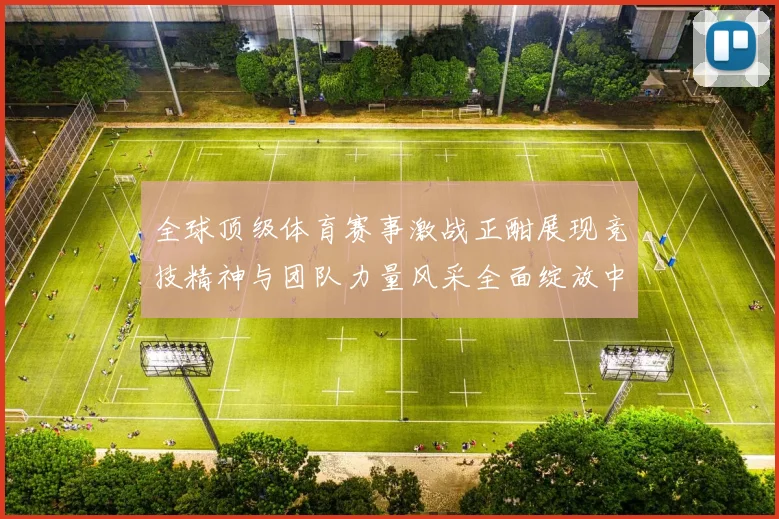 全球顶级体育赛事激战正酣展现竞技精神与团队力量风采全面绽放中
