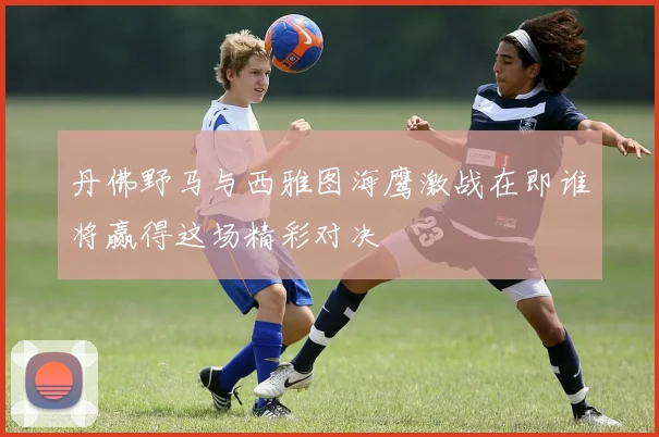 丹佛野马与西雅图海鹰激战在即谁将赢得这场精彩对决